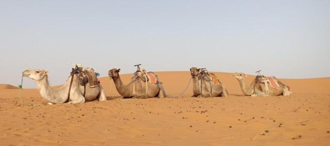 Kasbah Hotel Panorama Merzouga Luaran gambar